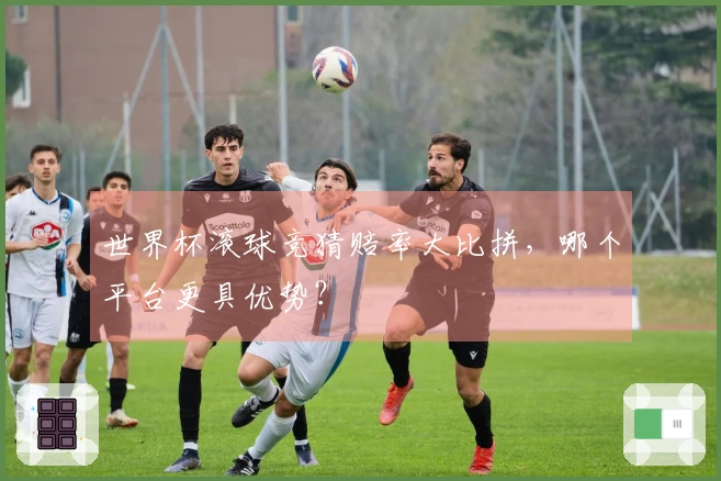 世界杯滚球竞猜赔率大比拼，哪个平台更具优势？