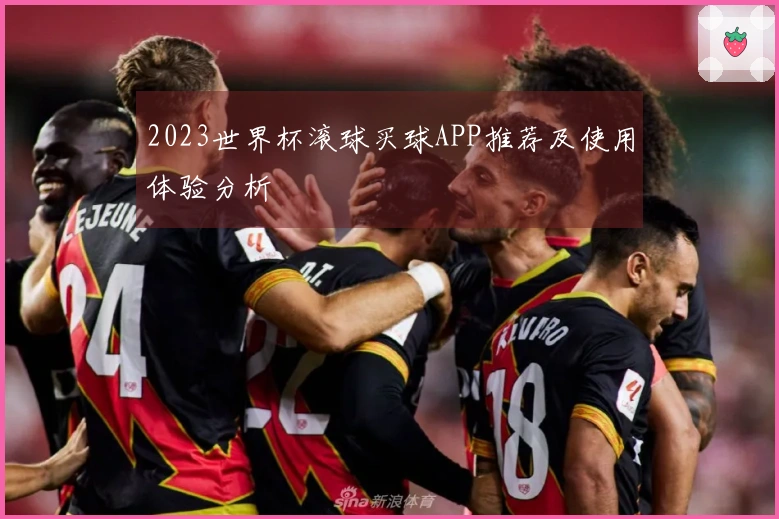 2023世界杯滚球买球APP推荐及使用体验分析