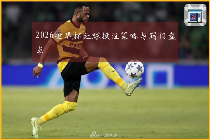 2026世界杯让球投注策略与窍门盘点
