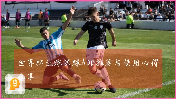 世界杯让球买球App推荐与使用心得分享