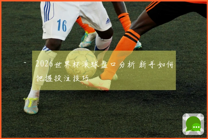 2026世界杯滚球盘口分析 新手如何把握投注技巧