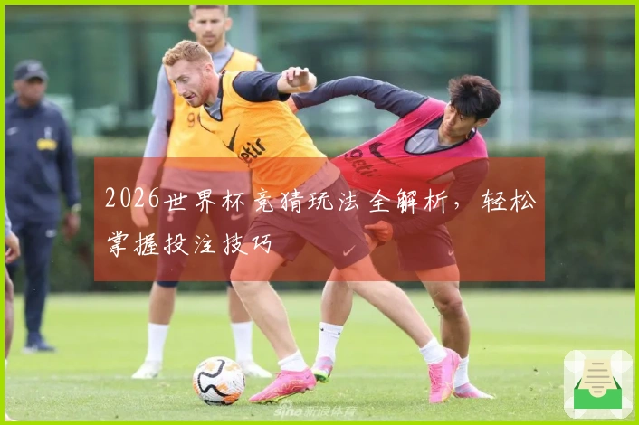 2026世界杯竞猜玩法全解析，轻松掌握投注技巧