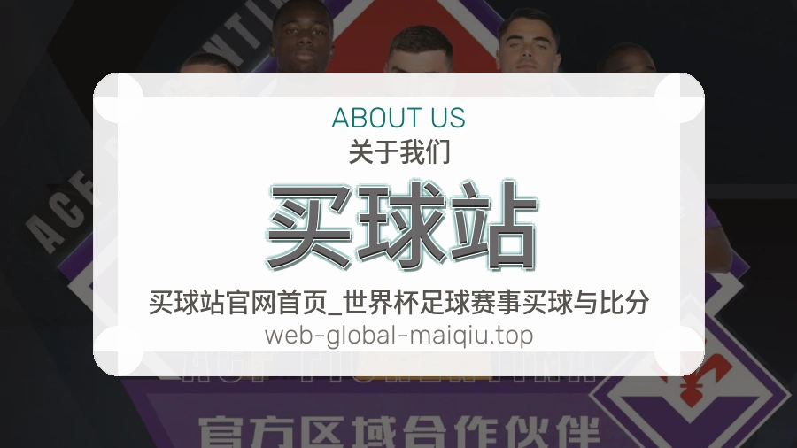 关于 买球站 团队与服务